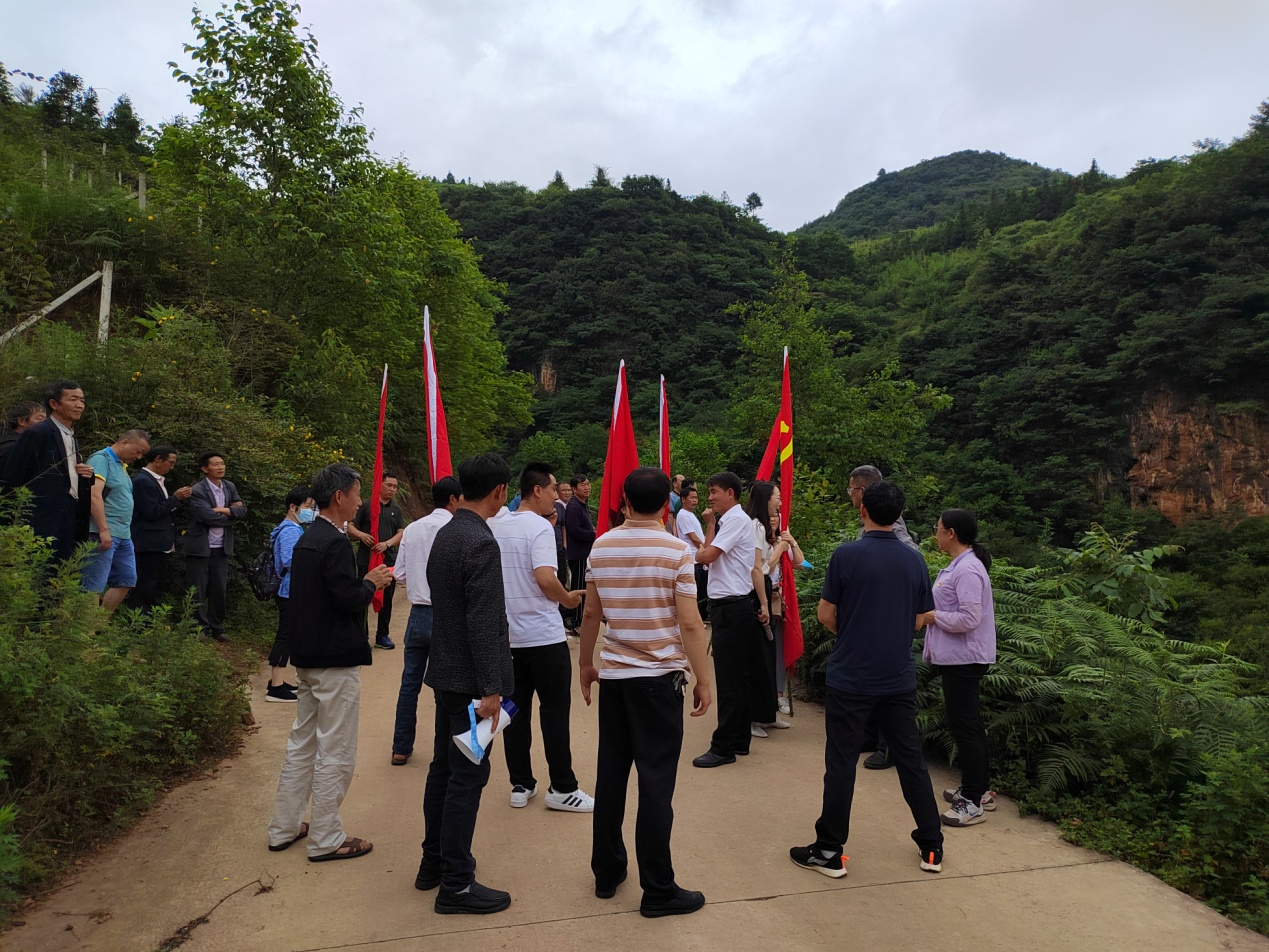 图片 8.png